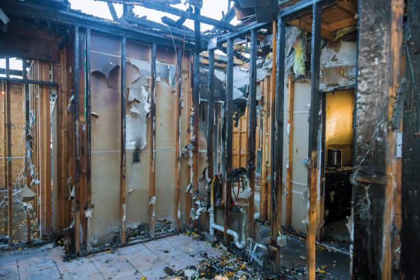 Professional Fire Damage Assessment technician working in Crystal City, MO